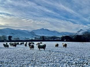 Cosy Irish Farm Cottage on the Ring of Kerry Farm Stay in County Kerry