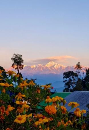 Pine Cone Homestay Vacation rental in West Bengal