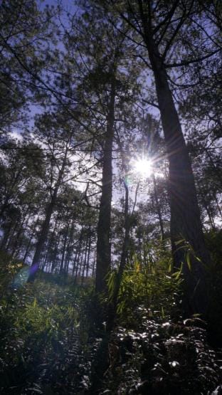 CHỐN RETREAT DALAT Vacation rental in Dalat