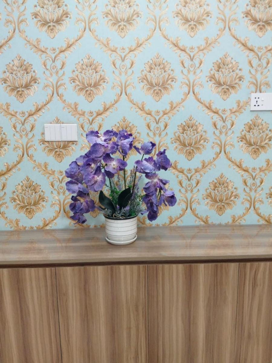 AC DELUXE RoOM NEAR SQUARE HOSPITAL Apartment in Dhaka