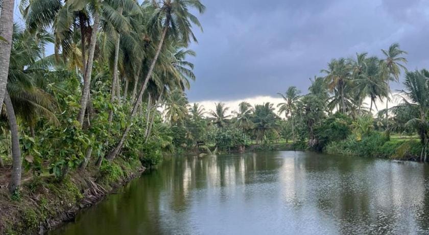 Essaar Punnot Farmstay Resort Hotel in Kerala