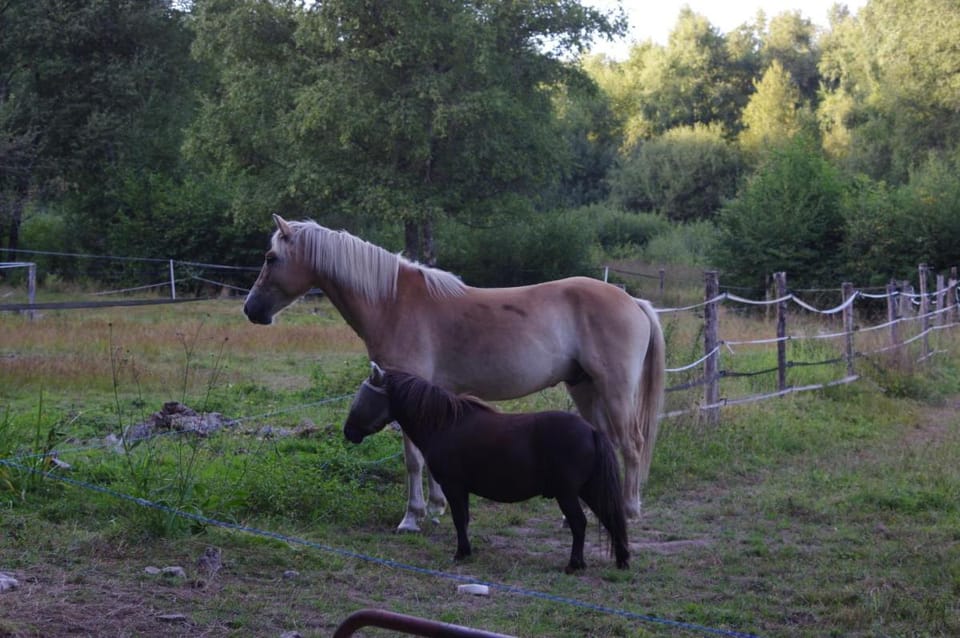 La Estancia Bed and Breakfast in Bourgogne-Franche-Comté
