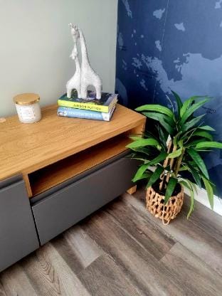 Luxury 1BR Central Apartment on Rose Street - WiFi Apartment in Livingston
