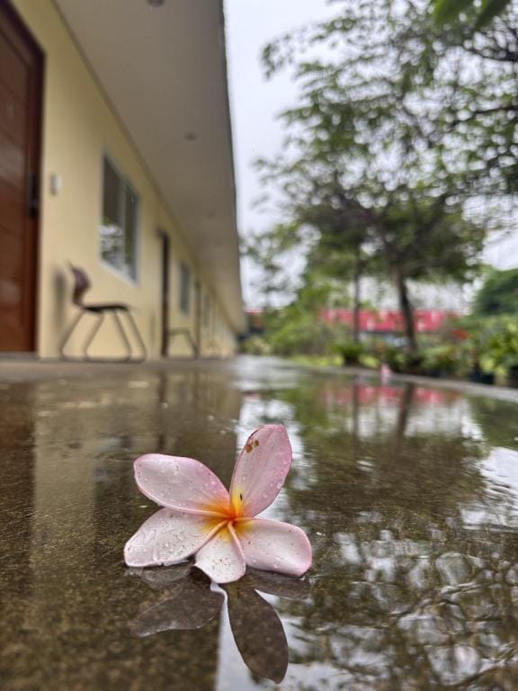 Summer Breeze Apartment Hotel in Dumaguete