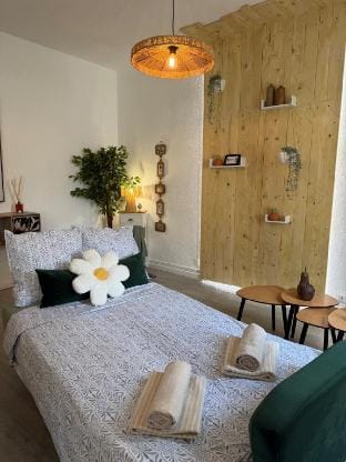 Cozy & air-conditioned - apartment Patte d'Oie Vacation rental in Carcassonne