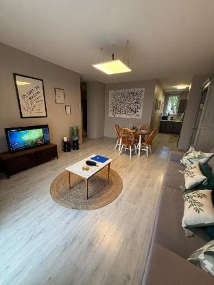 Close to Cité: equiped & air-conditioned apartment Vacation rental in Carcassonne