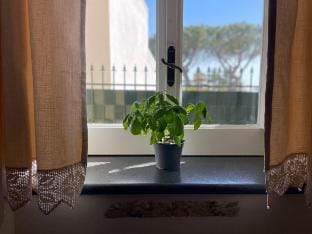 Pupatella house Vacation rental in Massa Lubrense