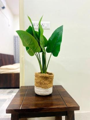 Jain's place by Prashasti . Vacation rental in Jaipur