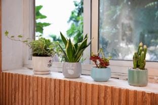 Muse House Vacation rental in Hanoi