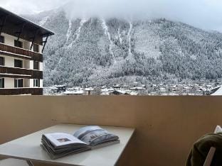 Champaign Powder Vacation rental in Chamonix