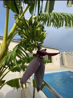 Clouds chalet Vacation rental in Makkah Province
