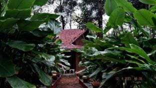 Vibez eco Resort Farm Stay in Karnataka