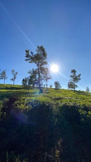 Twinkle Cottage In Nuwareliya  Vacation rental in Nuwara Eliya