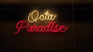 Octa Paradise Homestay Thekkady - Anakkara Vacation rental in Kerala