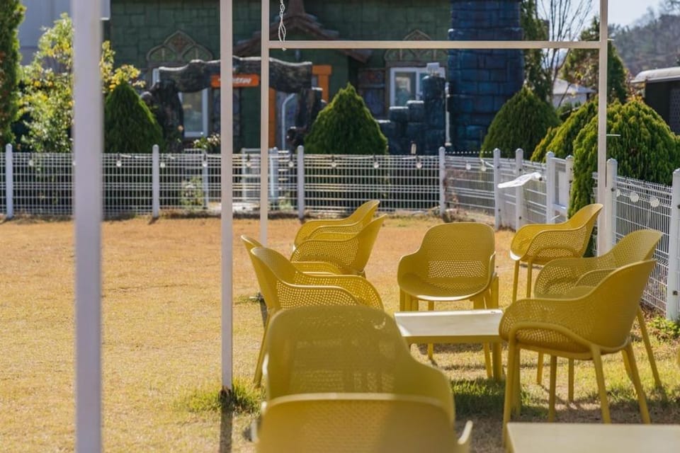 Lala Land Pet Friendly Pension Bed and Breakfast in South Korea