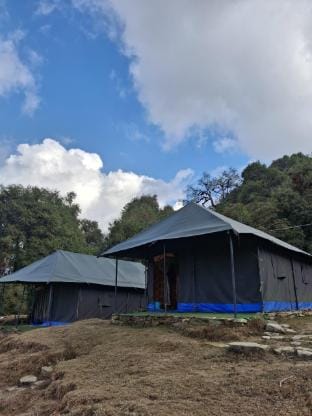 Buzz Eco Camp Chopta  Luxury tent in Uttarakhand