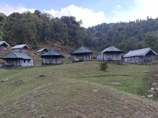 Buzz Eco Camp Chopta  Luxury tent in Uttarakhand