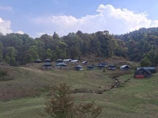 Buzz Eco Camp Chopta  Luxury tent in Uttarakhand