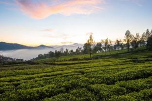 StayVista at 3 Rooms @ Villa Hugel Villa in Tamil Nadu