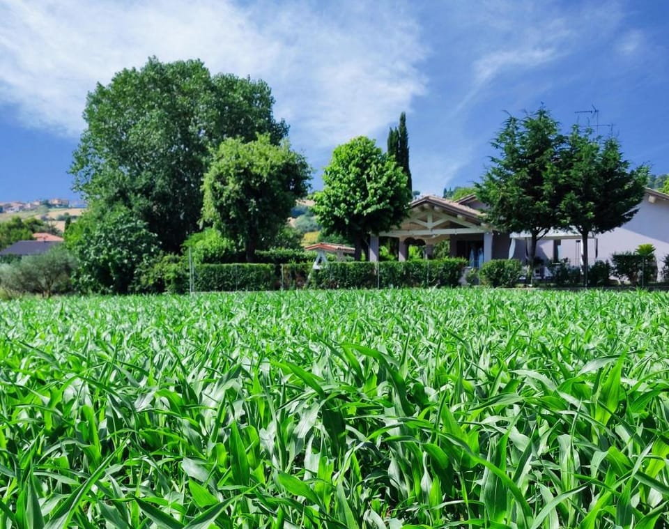 B&B Flavio e Catia Hotel in Marotta