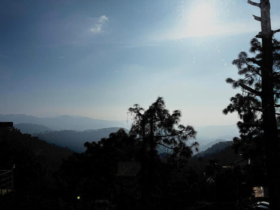 Pine N Peak Hotel in Shimla