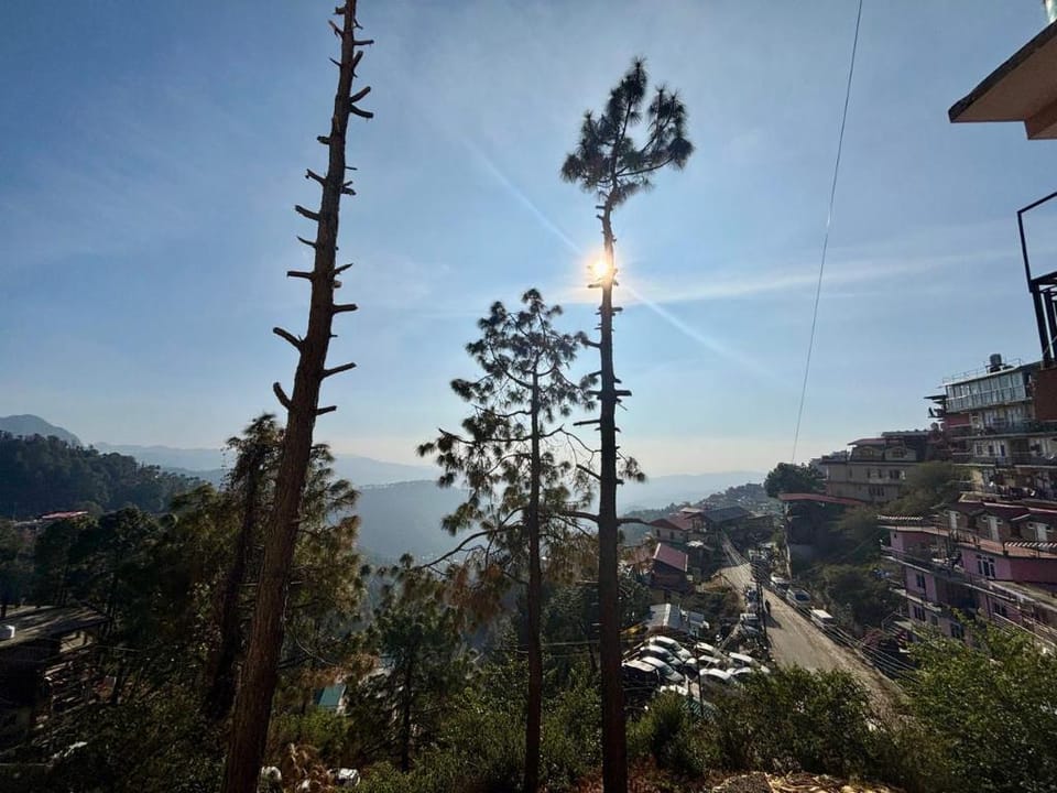 Pine N Peak Hotel in Shimla