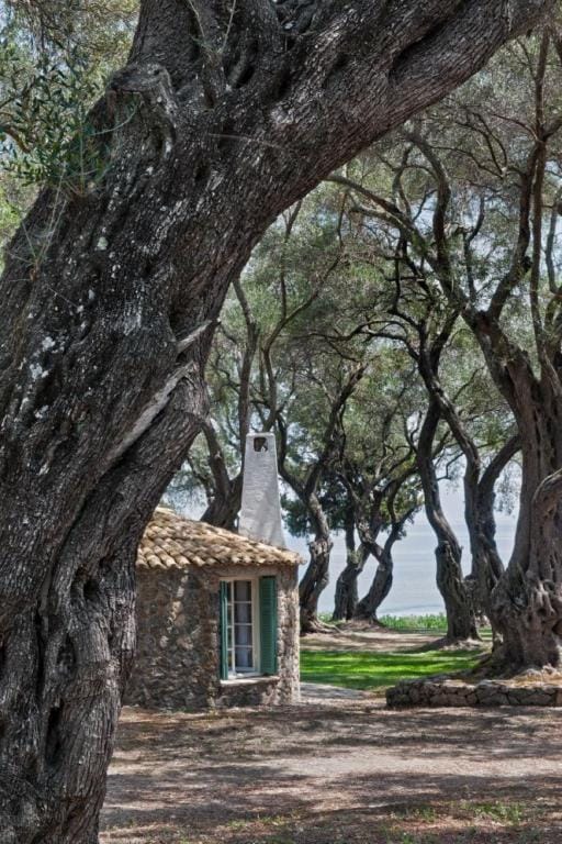 Corfu Dream Holidays Cottage Boukari Hotel in Corfu, Greece