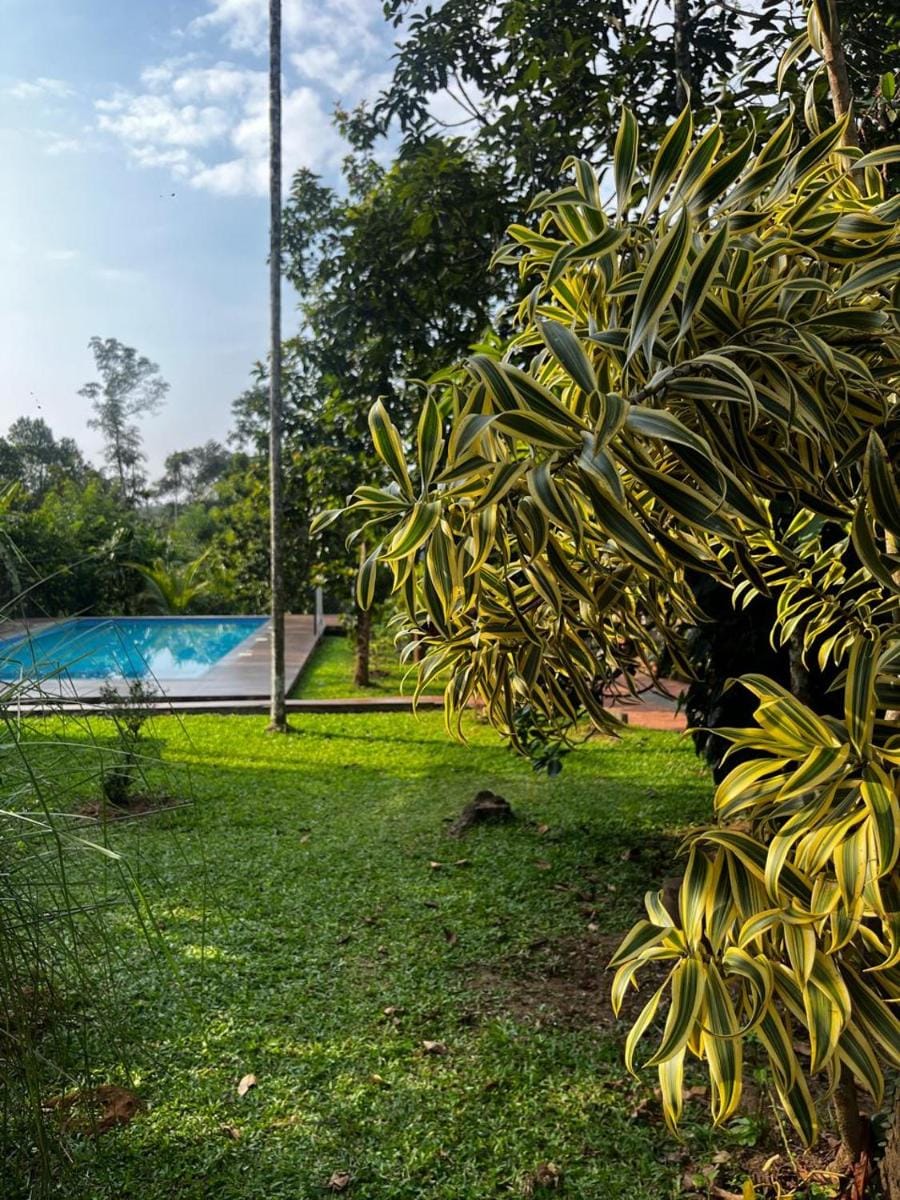 Avocado Orchards Home Stay Vacation rental in Kerala