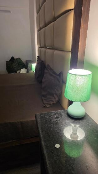 Prime Studio Apartment in West Delhi Apartment in Delhi