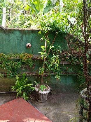 Kandy Nest Homestay  Vacation rental in Kandy