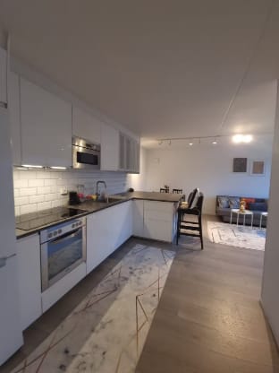 Stunning Hotel Penthouse Located in Central Oslo Vacation rental in Oslo