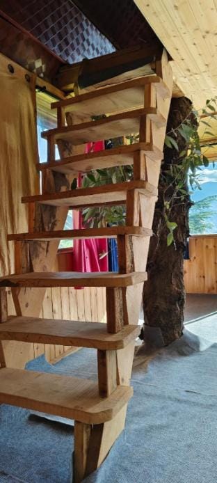 Nature treehouse jibhi  Vacation rental in Himachal Pradesh