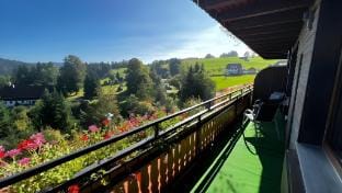 Boutique Hotel & Aparmtents Pension Sternen Vacation rental in Baden-Württemberg