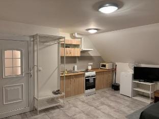 Modern attic studio with a nice view Apartment in Prague