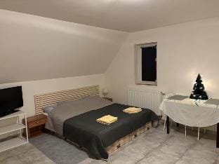 Modern attic studio with a nice view Apartment in Prague