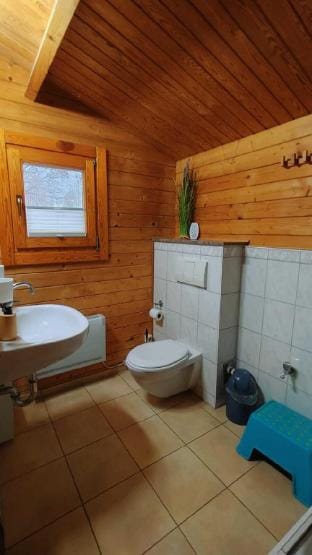 Holzhaus direkt am See Vacation rental in Mecklenburgische Seenplatte