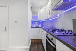 Deluxe Flat Near Central London Apartment in London Borough of Southwark