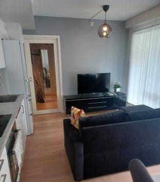 Cosy  Apartment  Near Sea front with outdoor walk Apartment in Viken, Norway