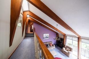 Eclectic 70s Mansion Vacation rental in Wellington