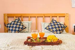 Spacious mountain view cottage in Tirthan Valley Vacation rental in Himachal Pradesh
