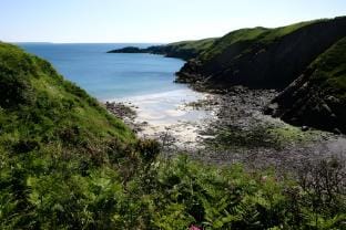 Agos y Mor Vacation rental in Saint Davids