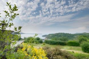 Little Pentower Apartment in Fishguard