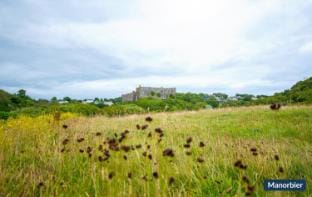 Crofters Cottage Vacation rental in Saint Florence