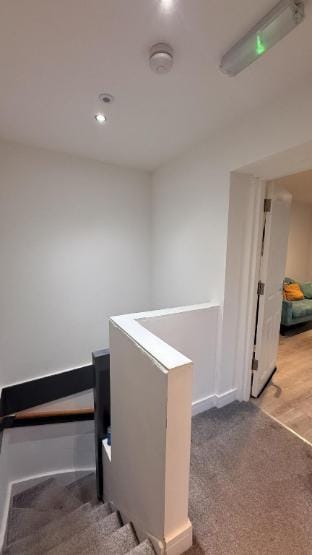 Cozy 1 Bedroom Fully Furnished Apartment Apartment in Leicester