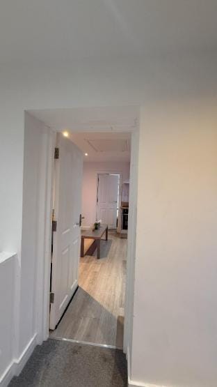 Cozy 1 Bedroom Fully Furnished Apartment Apartment in Leicester