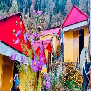 Shivalik Cottage Auli Resort in Uttarakhand