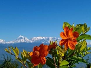 Radha Gopal Royal | Kausani  Vacation rental in Uttarakhand