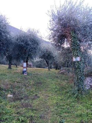 Appartamento n.3 Albatros Apartment in Brenzone sul Garda