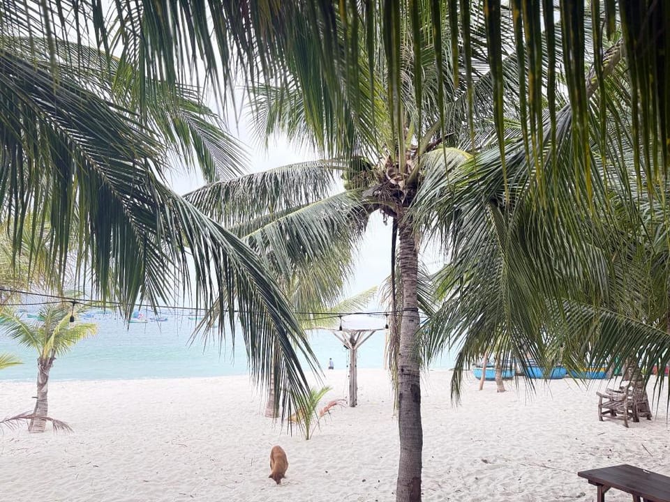 Hoa Mộc Villa,Thôn Bình Lập,Cam Lâph,Cam Ranh,Kánà Hotel in Khanh Hoa Province