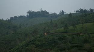 Golden Hillview Homestays Inn in Kerala